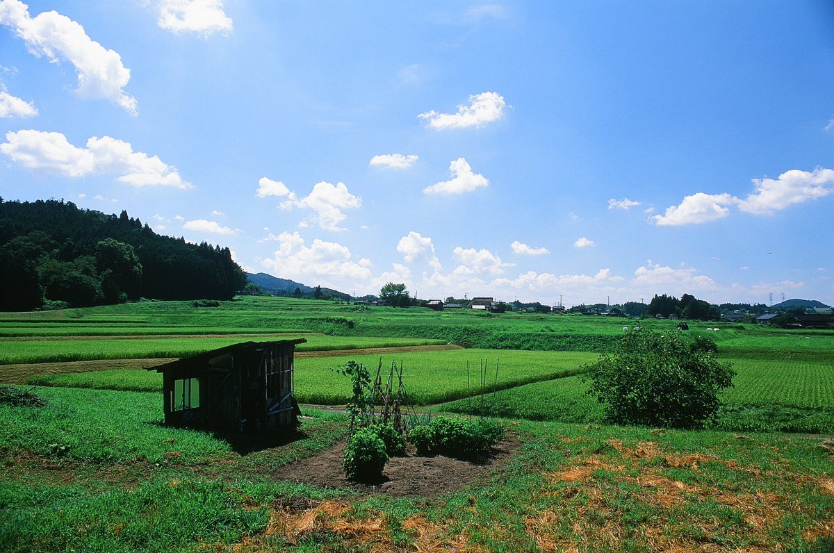 tsuneshichi's tweet photo. 四季折々
フィルムバラバラ

春 Nikon F3 × ektar100
夏 Nikon F3 × velvia50
秋 Nikon F3 × portra160
冬 Konica ⅢA × fujicolor100

#ネガフィルム #フィルムカメラ 
#オールドカメラ #オールドレンズ #filmphotography #キリトリセカイ
#ファインダー越しの私の世界
#岐阜県 #恵那市 #岩村 https://t.co/YRhwQOJ4rJ