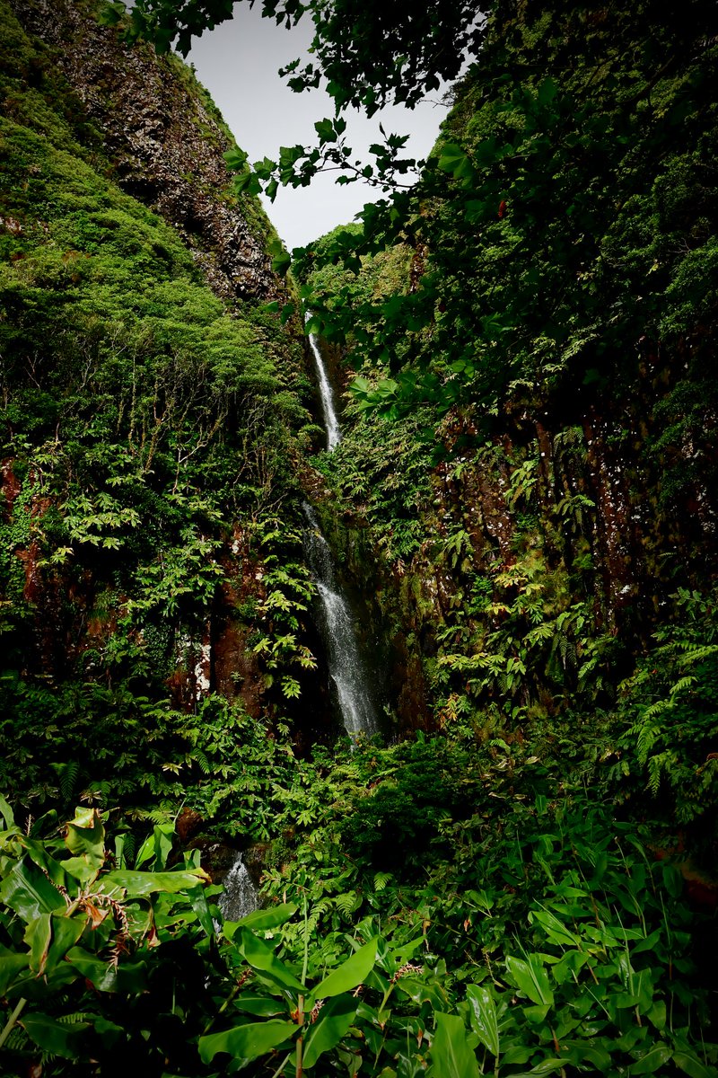 •Ѵҽɾóɳiᥴα• tweet media