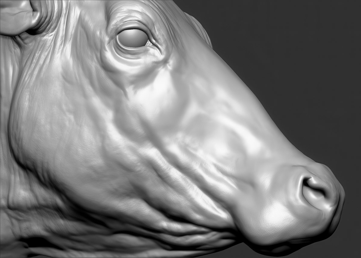 MitsArt3d's tweet photo. How are you, gentlemen artists? And I will share with you #references and images on sculpting #Anatomy #Animals Pack №30 #3d #gamedev #3dart #hand #modeling #3DModel #sculpting #leg #dog #gameart #zbrush #horse #snake #ecorche #sculpture #muscles #chest #ears #neck #cat https://t.co/tEJK5dK8fs