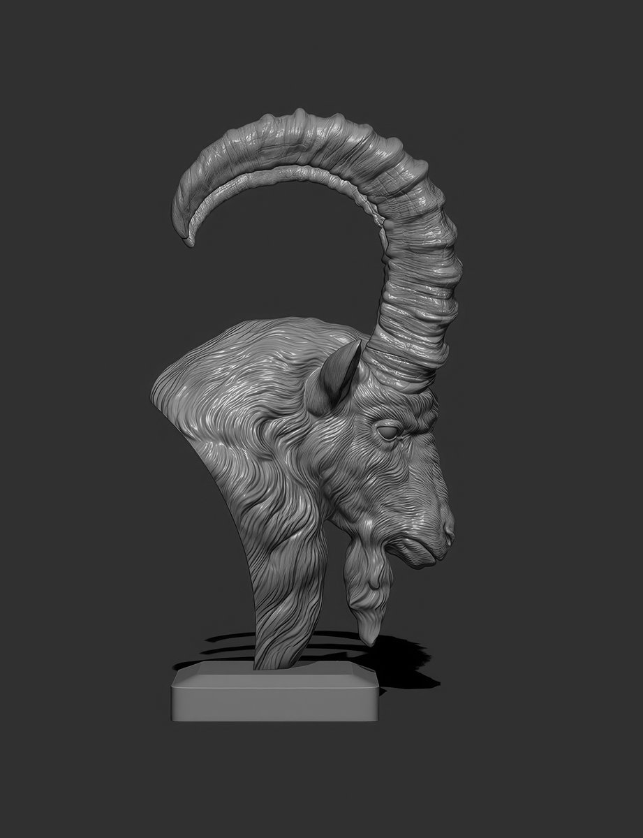 MitsArt3d's tweet photo. How are you, gentlemen artists? And I will share with you #references and images on sculpting #Anatomy #Animals Pack №30 #3d #gamedev #3dart #hand #modeling #3DModel #sculpting #leg #dog #gameart #zbrush #horse #snake #ecorche #sculpture #muscles #chest #ears #neck #cat https://t.co/tEJK5dK8fs