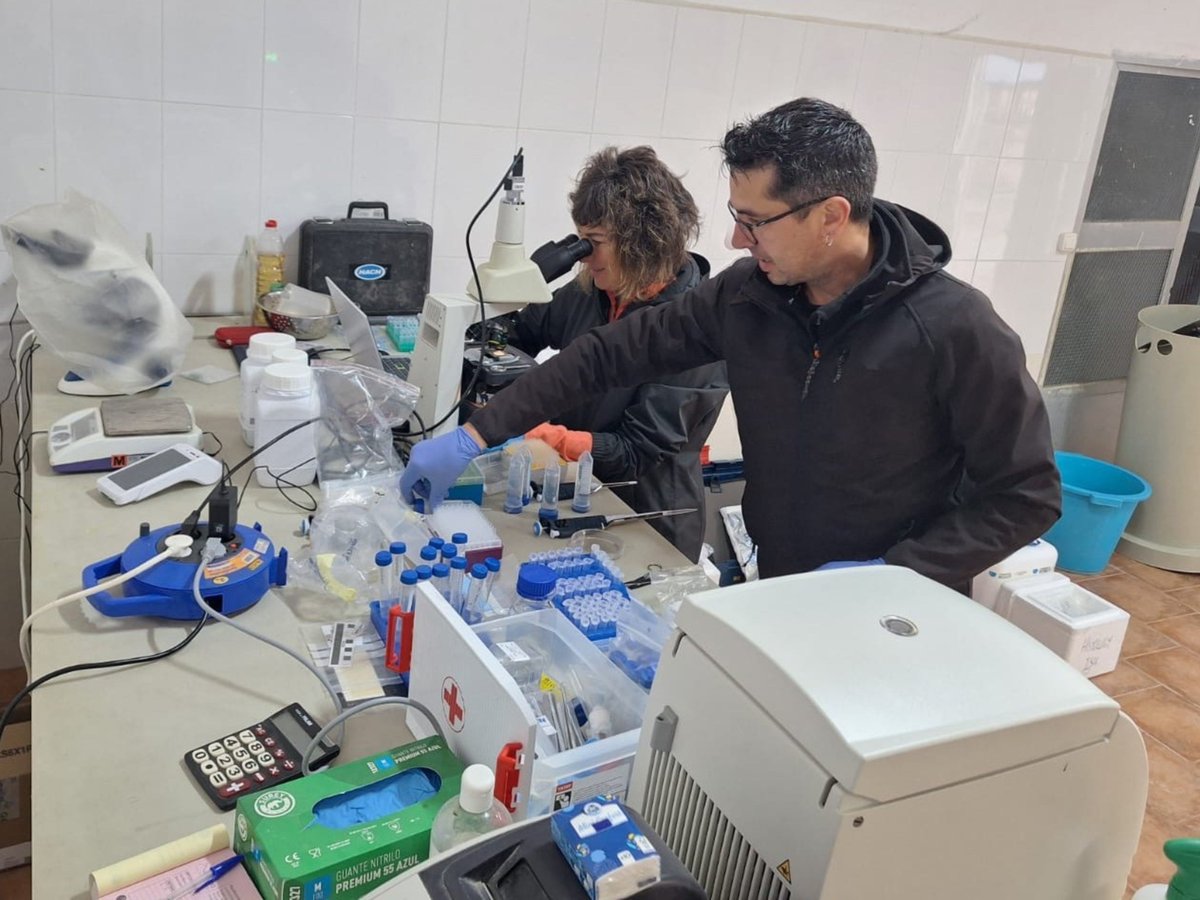 Universidad de León tweet media