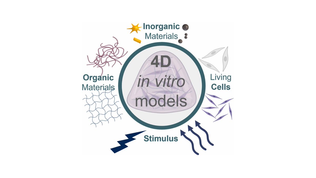 CICbiomaGUNE's tweet photo. 🚨 𝐑𝐞𝐬𝐞𝐚𝐫𝐜𝐡 𝐇𝐢𝐠𝐡𝐥𝐢𝐠𝐡𝐭 🚨

💡 Stimuli-responsive hybrid materials for 4D in vitro tissue models

📄 Materials Today Bio 2025

👉 https://t.co/JucCW5A52o

#bioprinting #4Dprinting https://t.co/5luao5Amp0