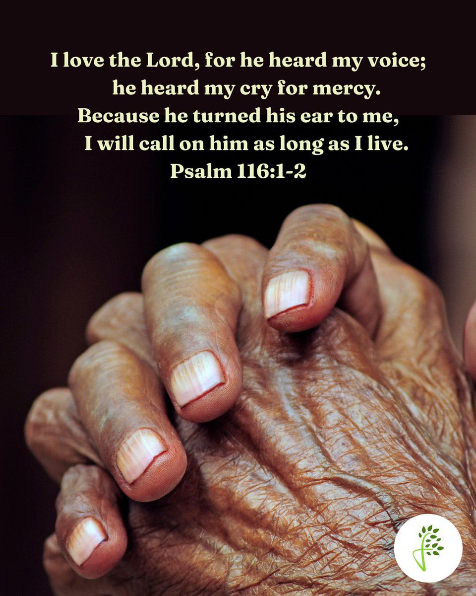 FaithinLater's tweet image. I love the Lord, for he heard my voice; he heard my cry for mercy. Because he turned his ear to me, I will call on him as long as I live.  Psalm 116:1-2
#dailyword #bible #christian