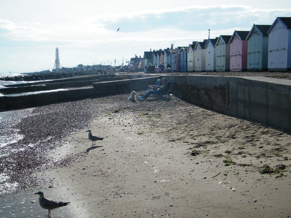 jonnyald's tweet photo. down at Felixstowe beach #beach #goers #sunshine #seabirds #lifesgreat #suffolk #coast https://t.co/oFwJsWdJCK