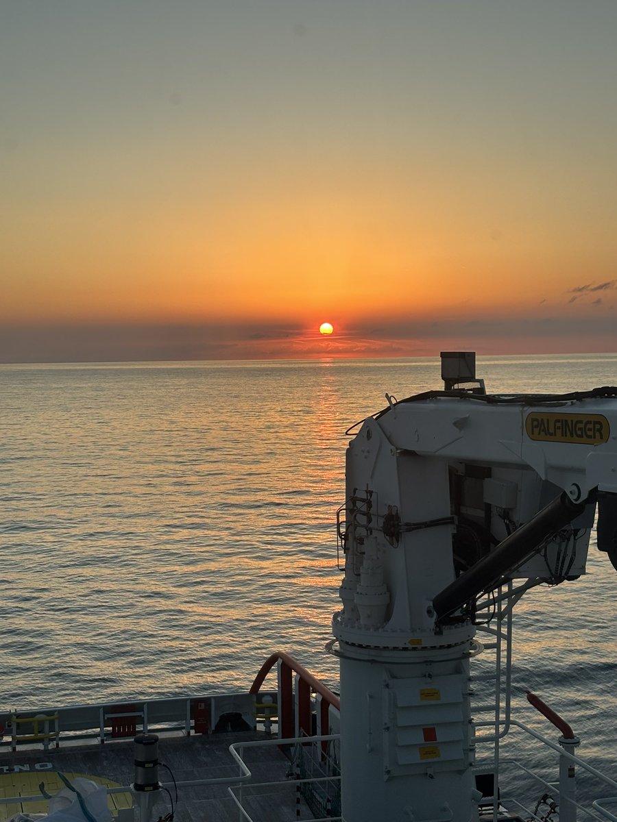 Ichigo1988 tweet media