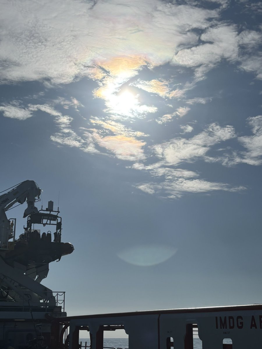 Ichigo1988 tweet media