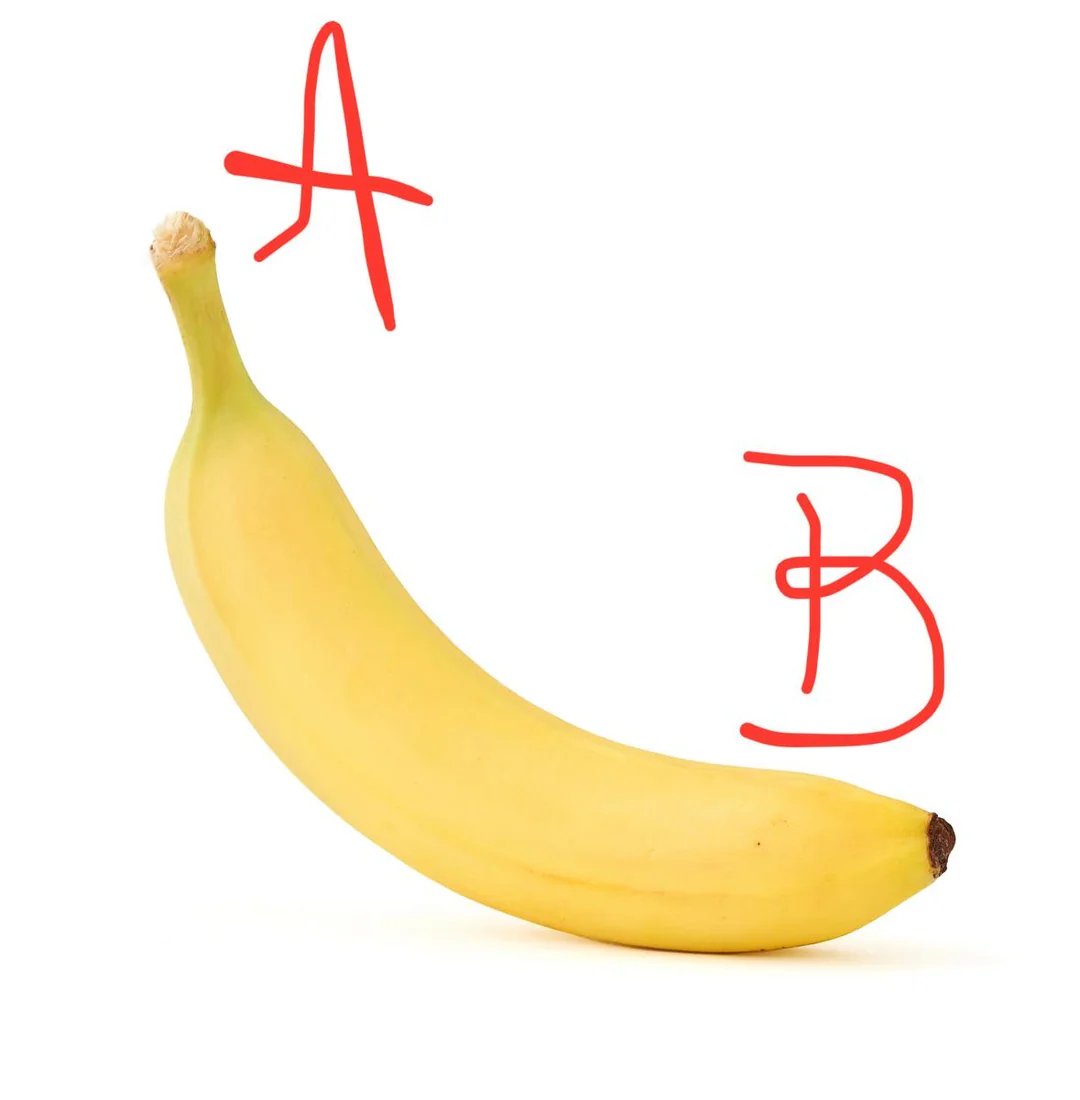 Ardeshir tweet media