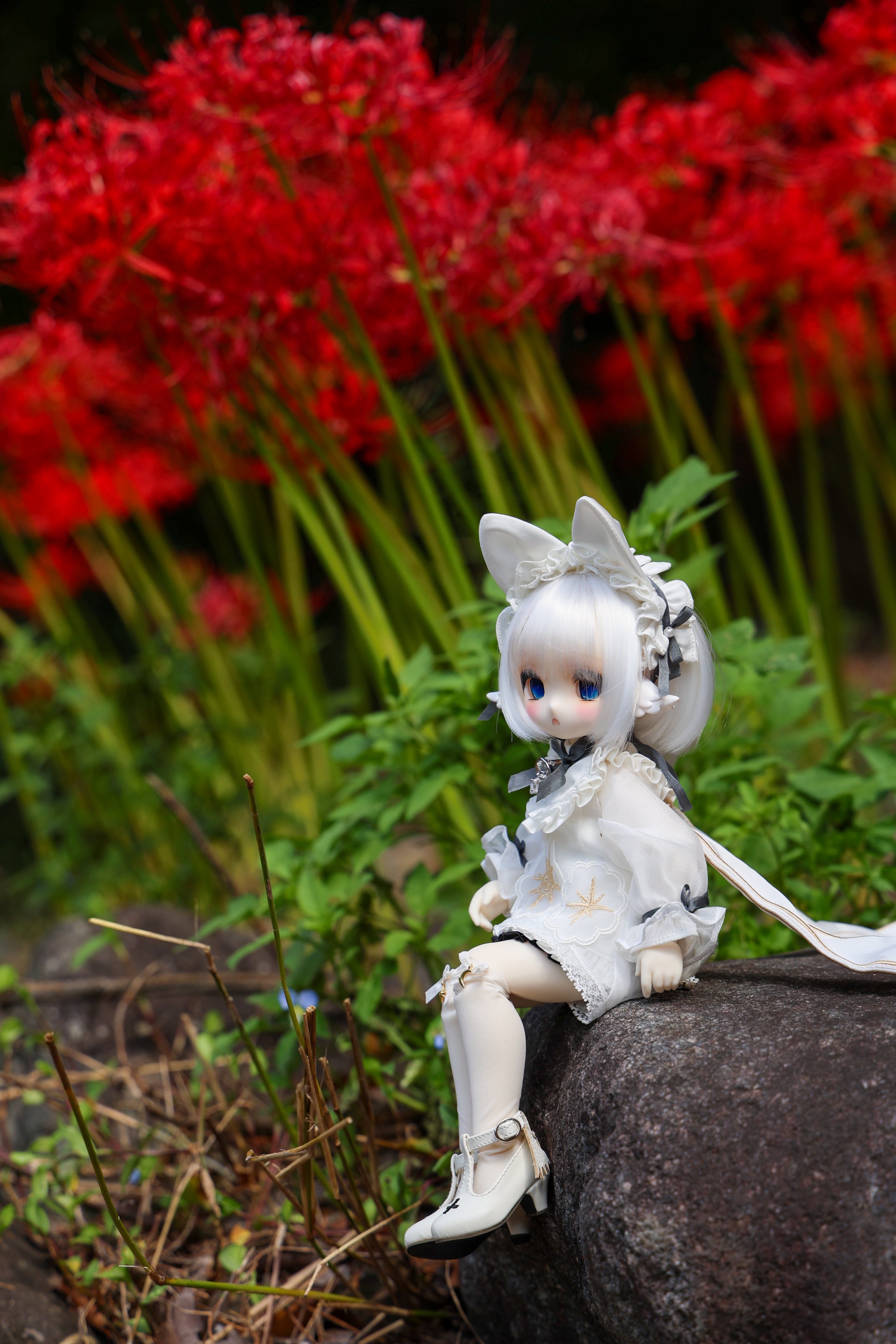 なすなす🍀 (@mea241127) / X