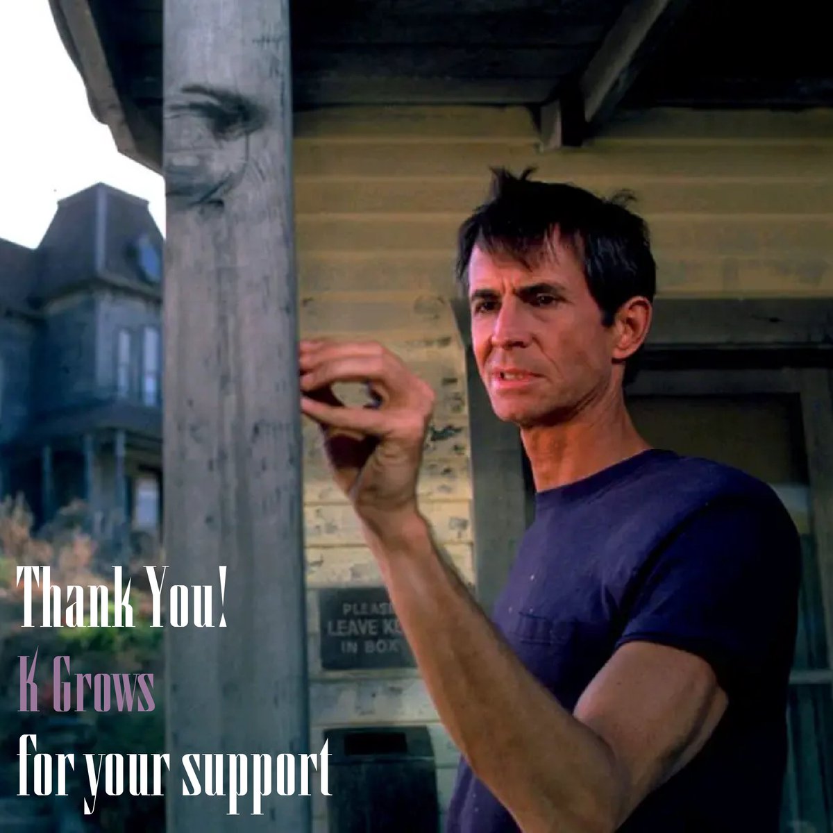 City Mist Productions tweet media