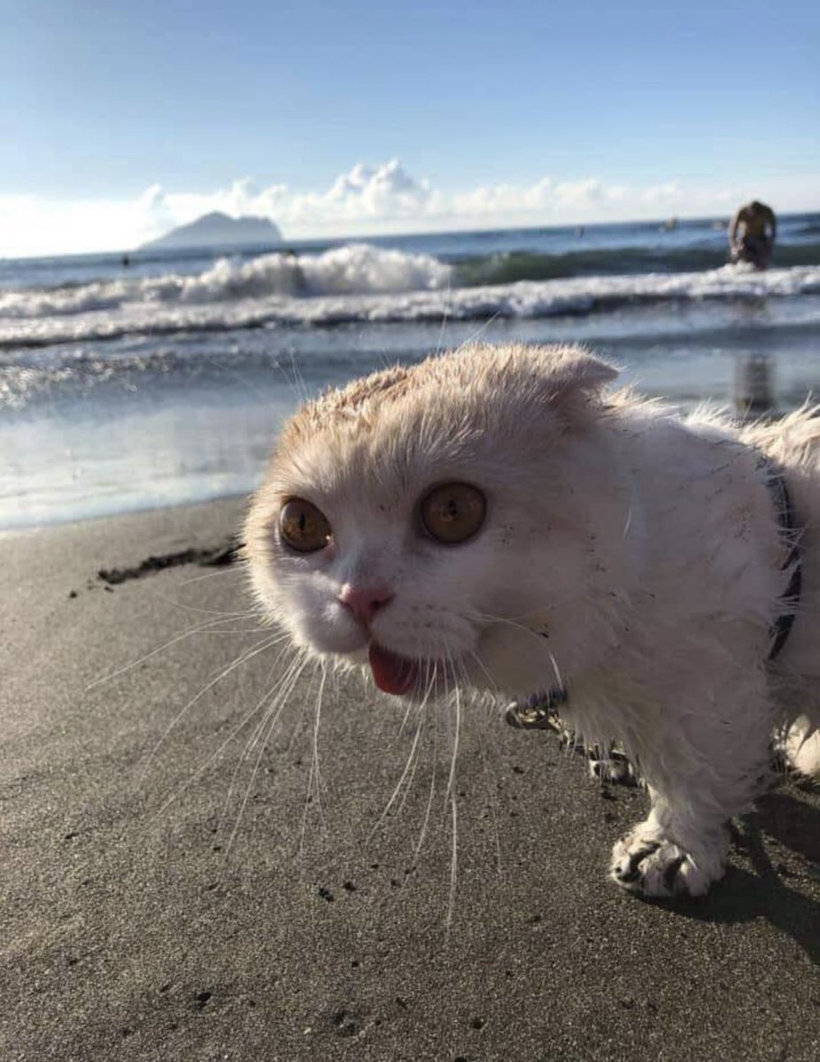 ilonacab's tweet image. 