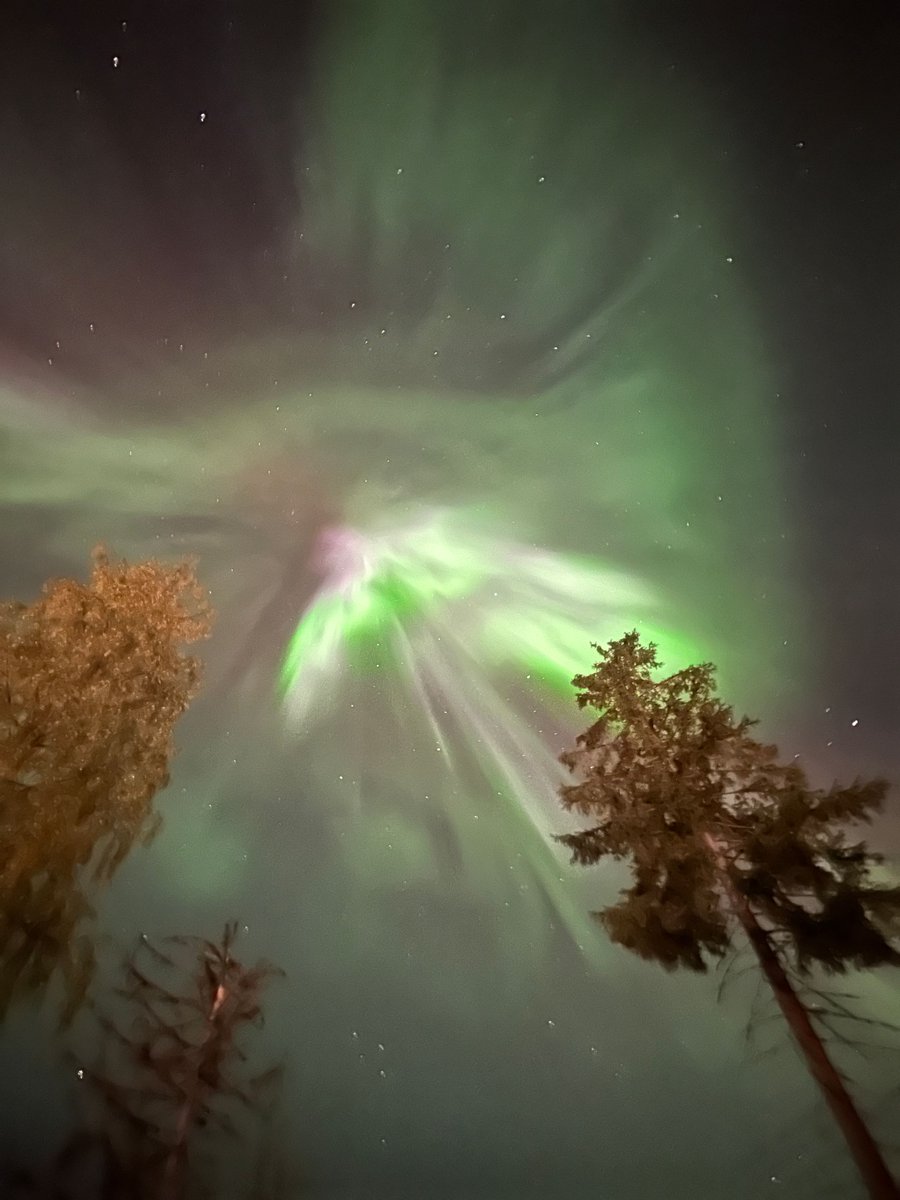 Plone Conference 2025 tweet media