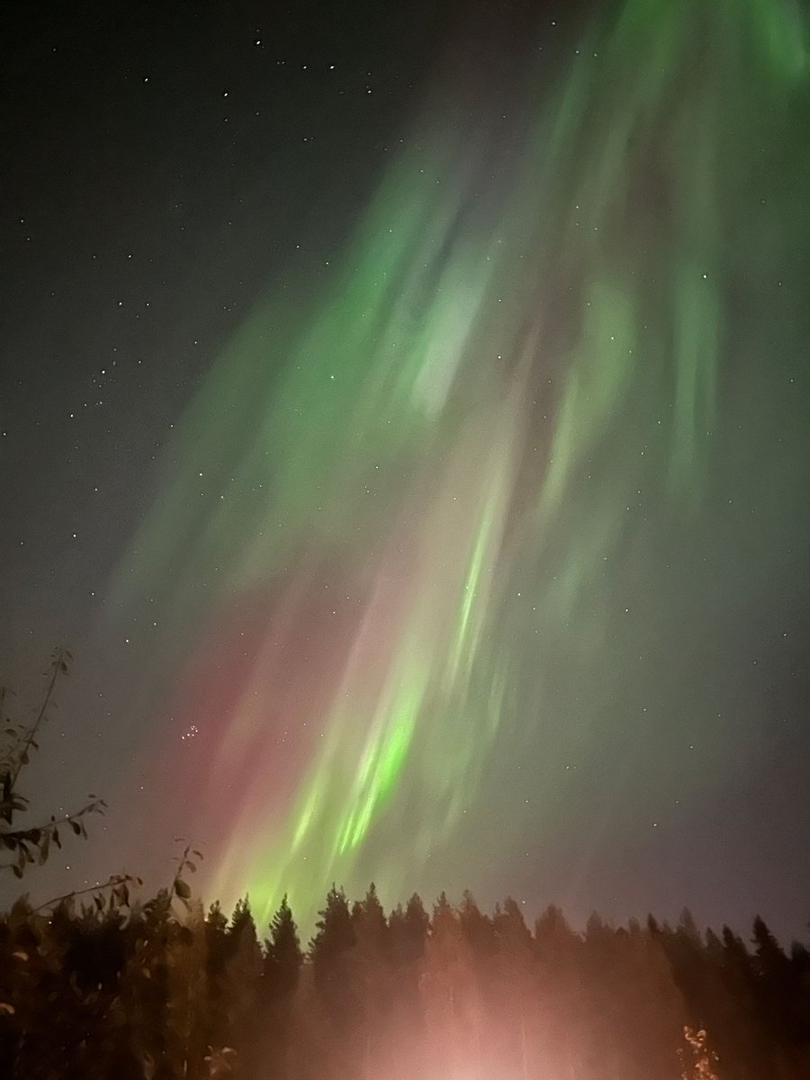 Plone Conference 2025 tweet media