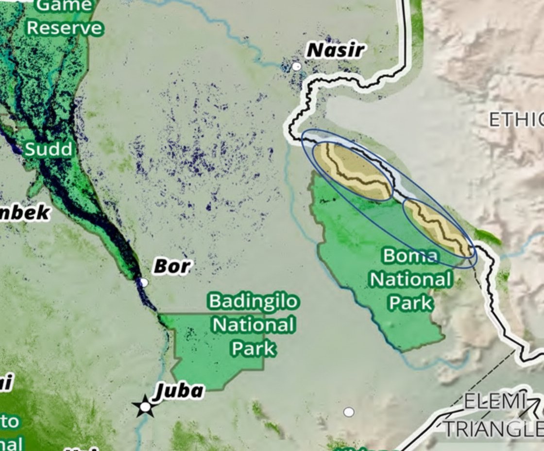 sswca2025's tweet photo. Greater Pochalla Conservancy: The Omila and Achumu conservancy areas are shown by the brown polygons adjacent to Boma National Park. #SouthSudan #WildlifeConservation https://t.co/PDimmAG6S1