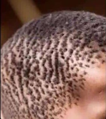 AndyJnr ° Umaru  tweet media