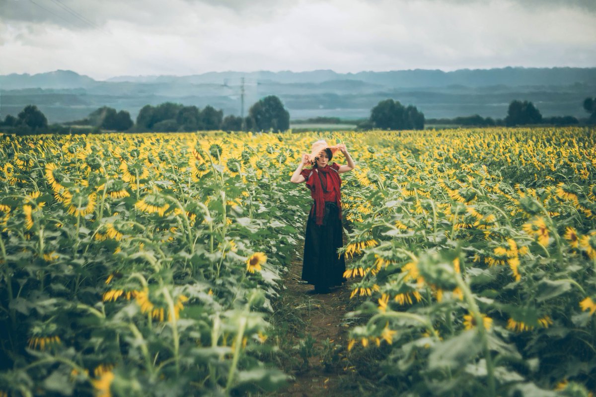 年中雨期☔️生存報告 tweet media