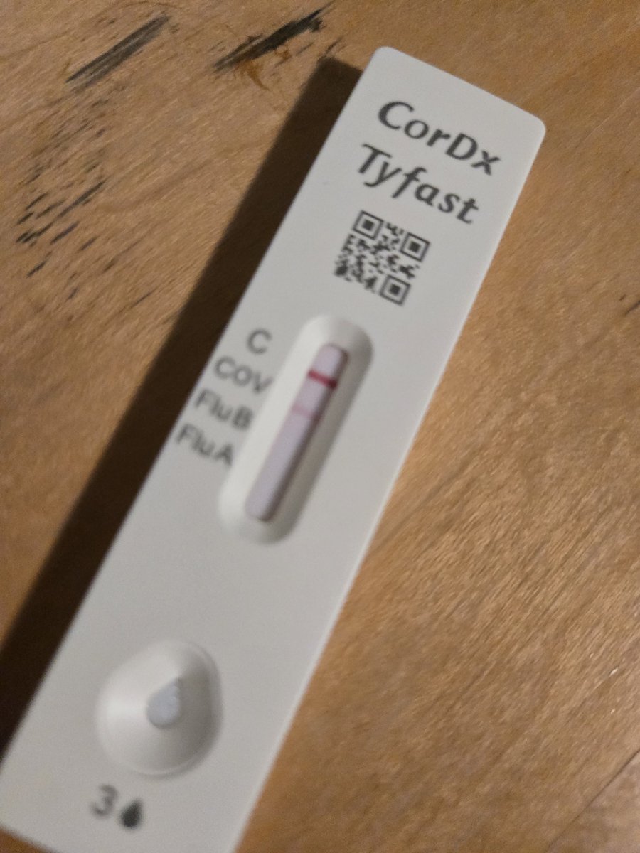 Sertle ✹《urchin》 tweet media