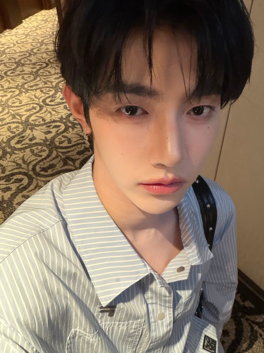 i can’t believe alphabin and haomega are real