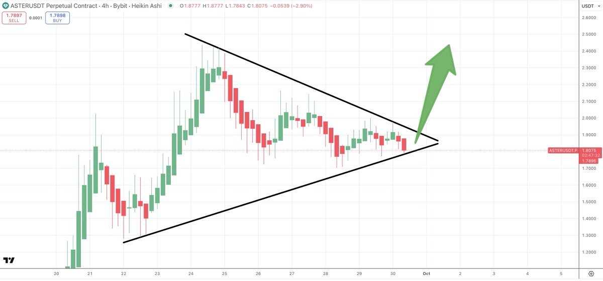 Satoshi Flipper tweet media