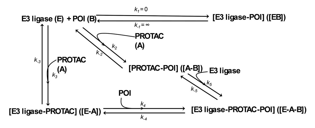 Bharath Srinivasan (@bharath_igc) on Twitter photo "Resolving Enzyme–Substrate–Activator Ambiguity: A Minimalist Enzyme Kinetic Framework for PROTAC Design and Optimization"
pubs.acs.org/doi/10.1021/ac…
<a href="/JMedChem/">JMedChem</a> <a href="/ACSPublications/">ACS Publications</a>, <a href="/CRUKresearch/">Science and Innovation at Cancer Research UK</a> <a href="/CR_UK/">Cancer Research UK</a> 
#PROTAC, #MolecularGlues, #ScienceOfPROTAC, #TargetedProteinDegradation "Resolving Enzyme–Substrate–Activator Ambiguity: A Minimalist Enzyme Kinetic Framework for PROTAC Design and Optimization"
pubs.acs.org/doi/10.1021/ac…
<a href="/JMedChem/">JMedChem</a> <a href="/ACSPublications/">ACS Publications</a>, <a href="/CRUKresearch/">Science and Innovation at Cancer Research UK</a> <a href="/CR_UK/">Cancer Research UK</a> 
#PROTAC, #MolecularGlues, #ScienceOfPROTAC, #TargetedProteinDegradation