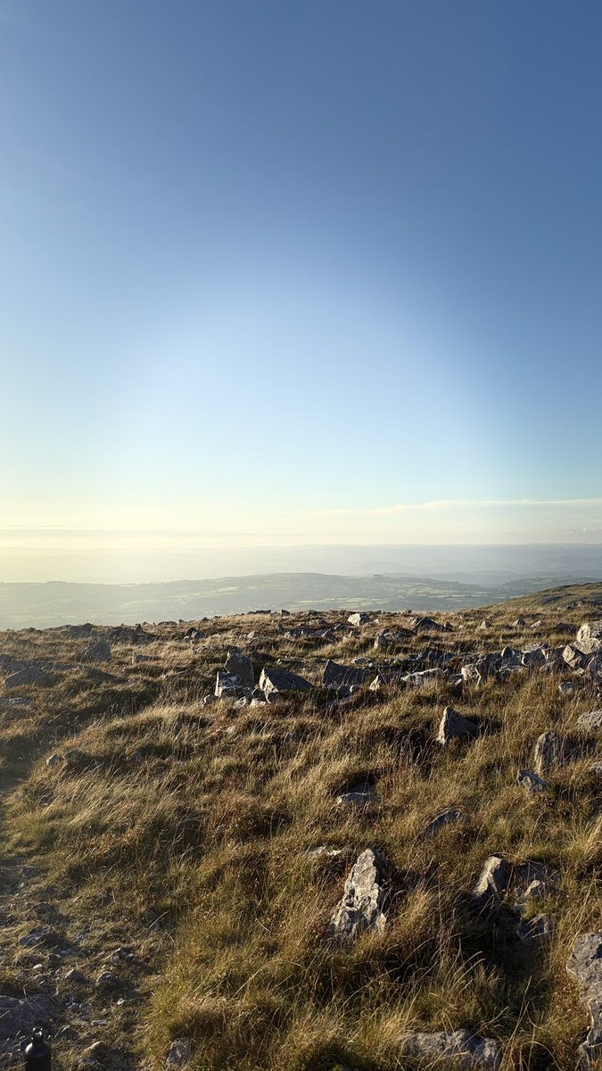 Ella Louise | High Performance tweet media