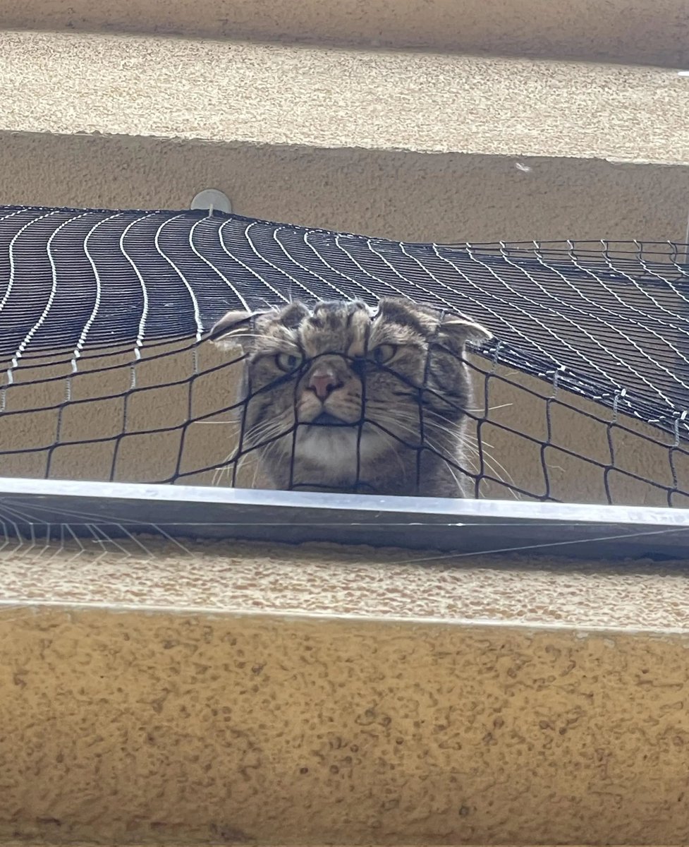 Kako me mama gleda kada se spremam da uteknem🥹