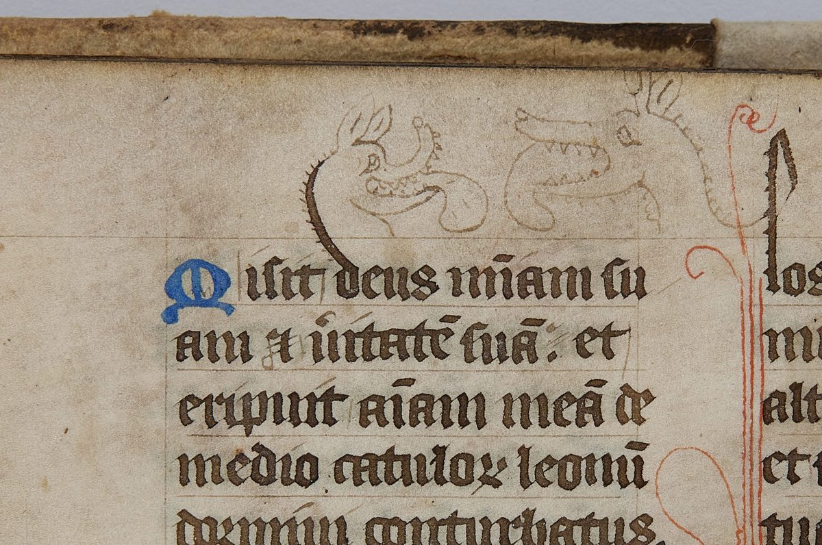 MarshsLibrary's tweet image. Some lovely doggie doodles from our 14th century Psalter, or book of psalms #Manuscript #Doodles