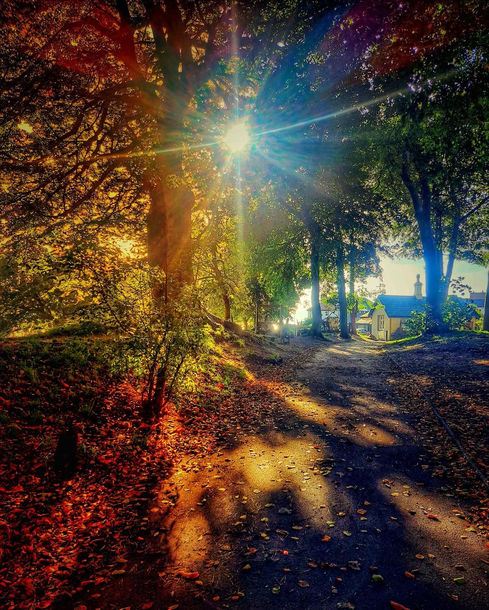 Mark Whiteley Music tweet media