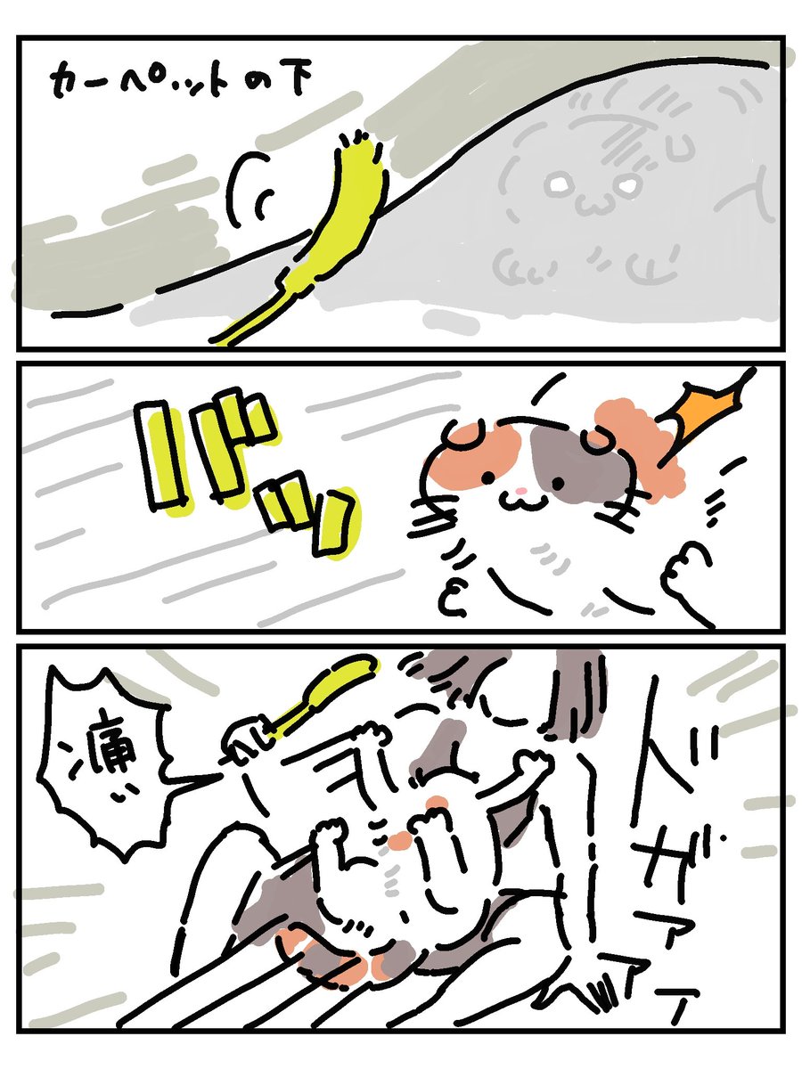 今月投稿した絵 ねこさま編 
