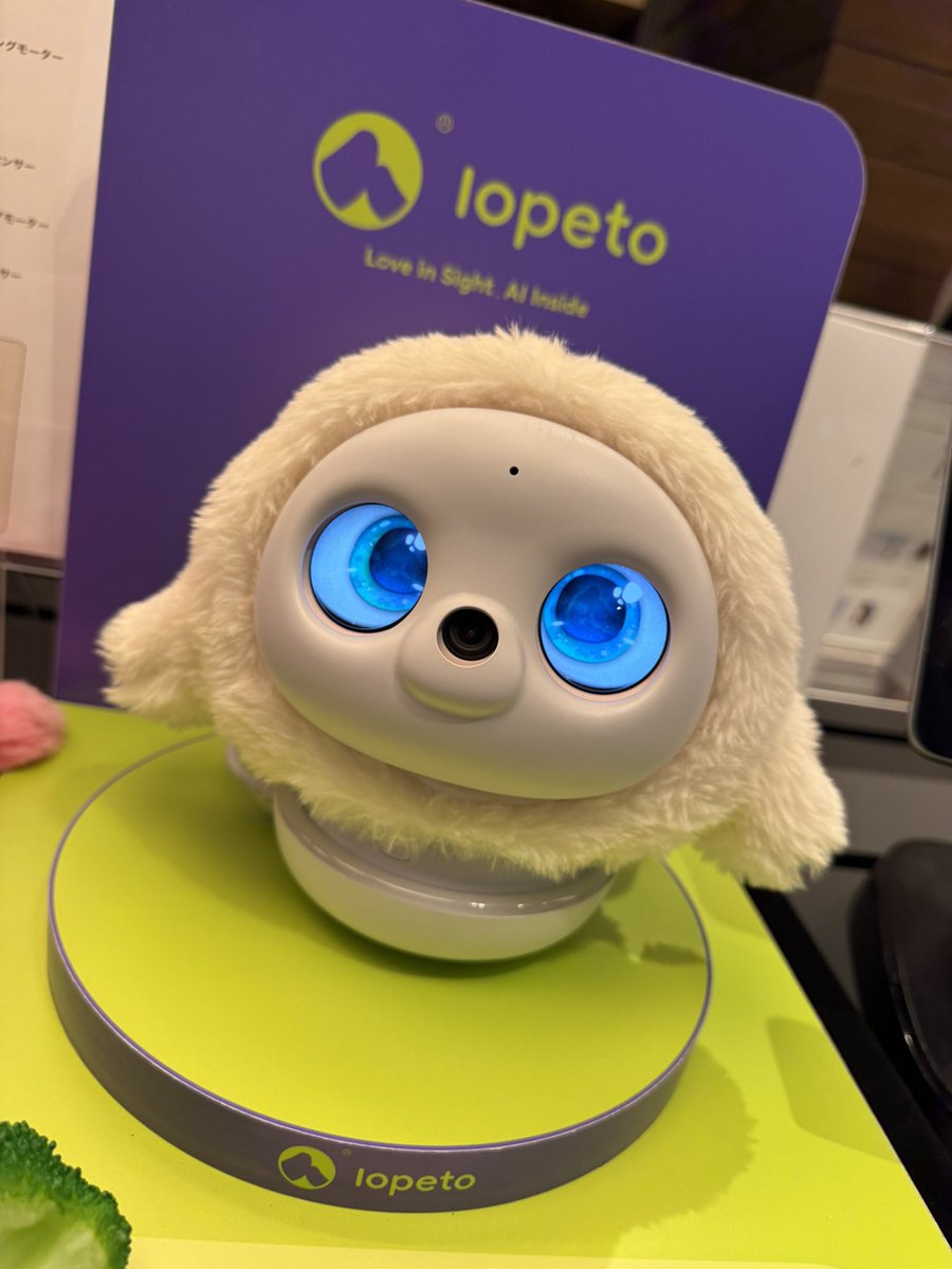 lopeto Japan (@lopetoJapan) / Posts and Replies / X