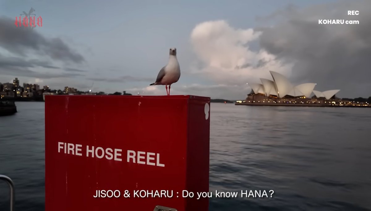 BADTZ_00's tweet image. BMSGって鳥好きなの？
それとも鳥もBMSG好きなの？

どっちもか

#HANA #THELASTPIEACE