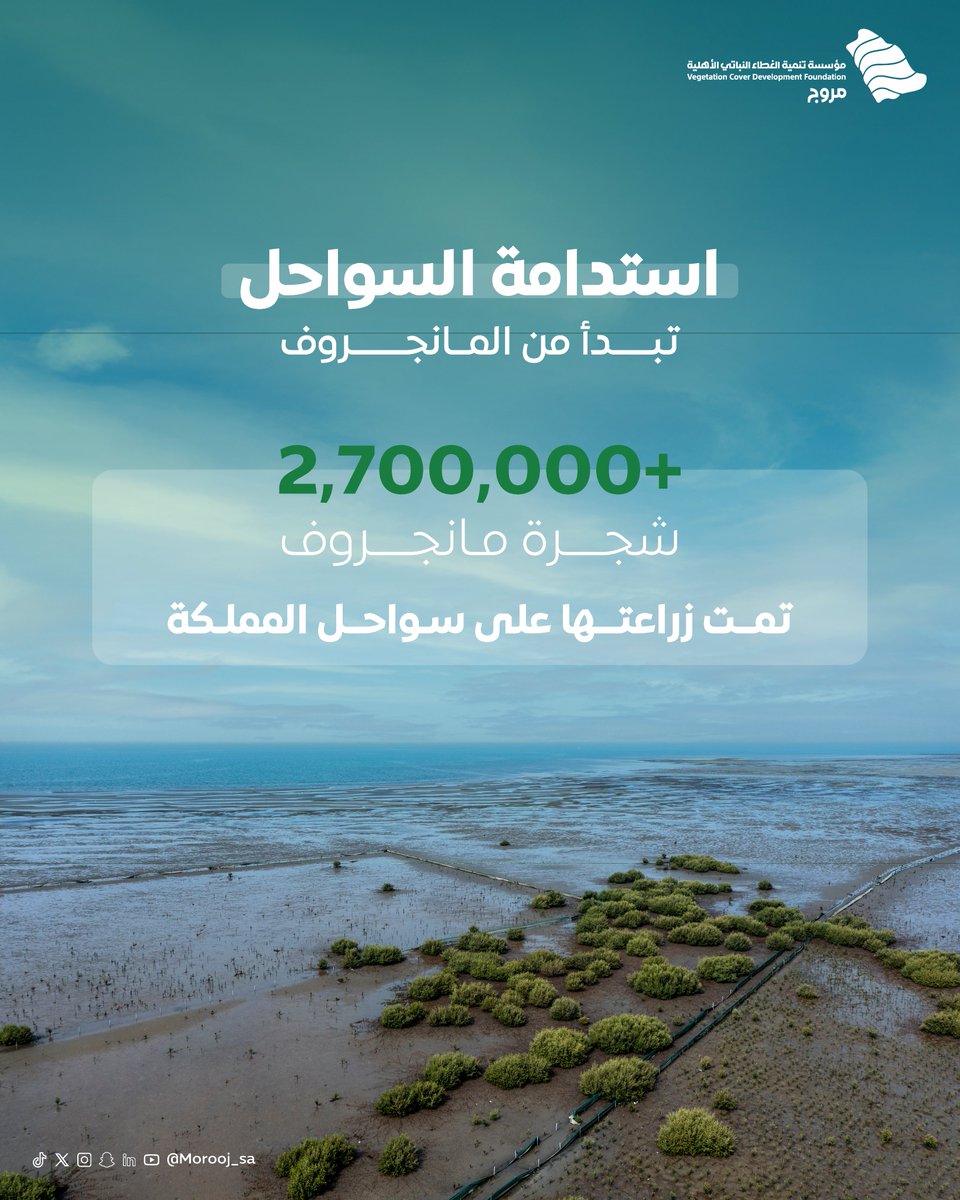 Morooj Foundation | مؤسسة مروج tweet media