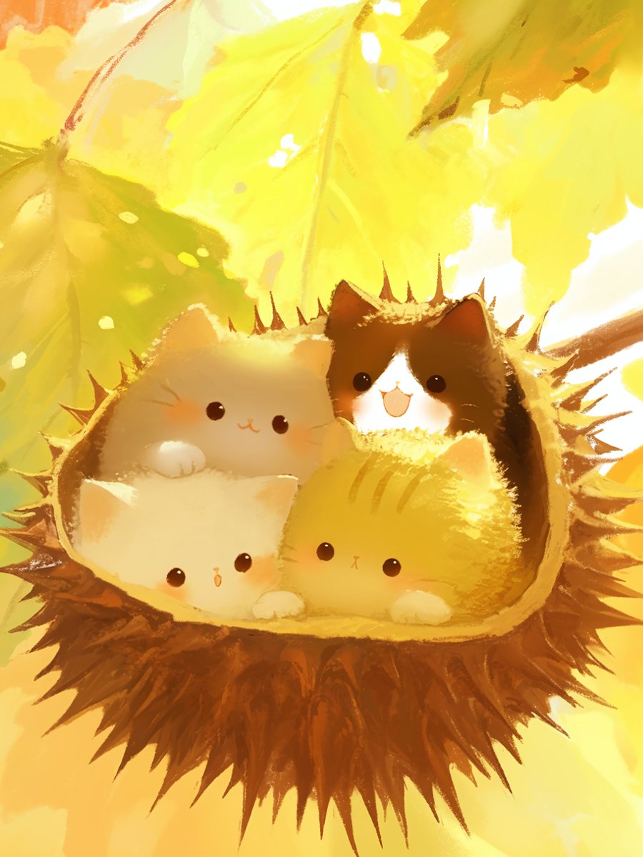 栗
