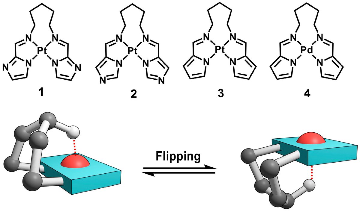 🔉Welcome to read the published paper

📌Flipping Motion of the Alkylene Bridge in cis-[N,N′-Pentamethylenebis(iminomethylazolato)]M(II) Complexes (M = Pt, Pd) with Hydrogen-Bond-like M···H–C Interactions 

🔎Learn more at: lnkd.in/dj8QAhce