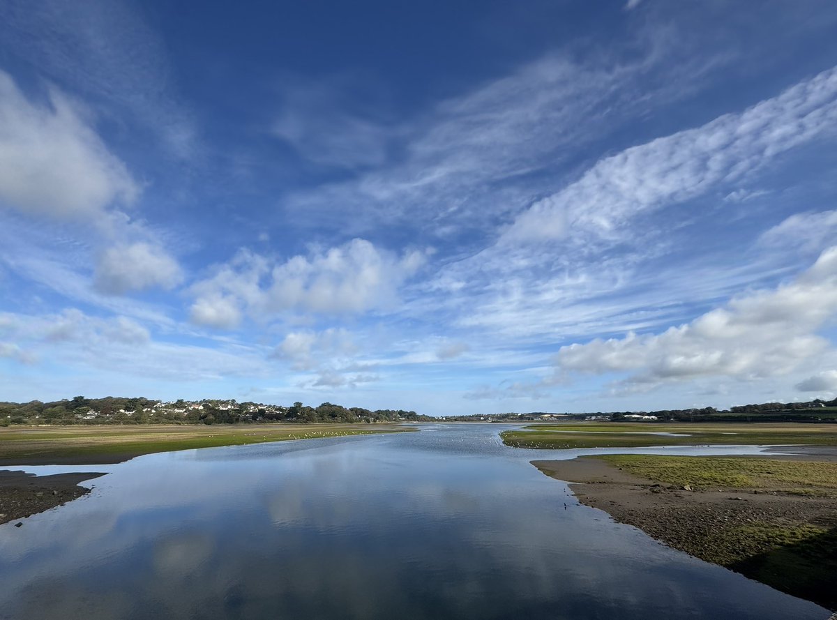 JackiHicks's tweet photo. Lovely autumn colours on our walk along Hayle causeway to the Garden Centre to buy spring bulbs this morning 🍁🌷🪻#walkfromhome #RSPBHayleEstuary 🦆 #myphotography #nofilterneeded 📷 https://t.co/3J08hjQgcG