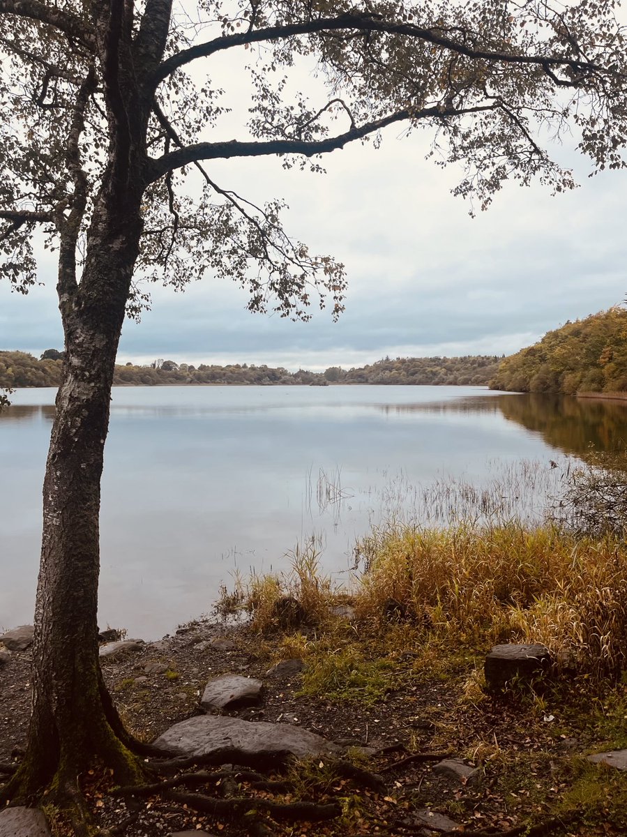 It’s looking and feeling very autumnal in #Cavan