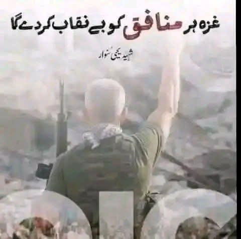 saif qalandari tweet media