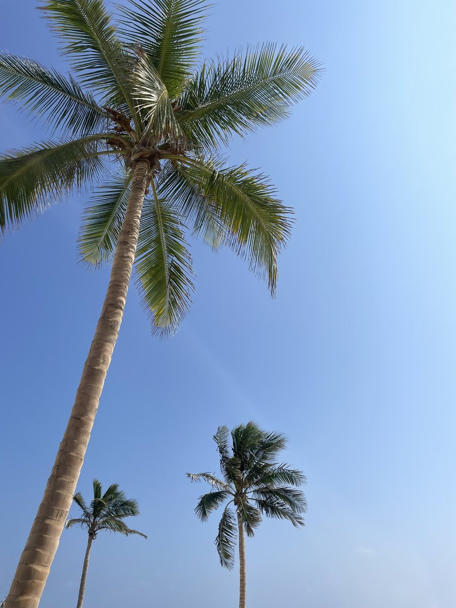 theahlam_'s tweet photo. Jeddah is always in summer mode ☀️ https://t.co/KhitUiWejt