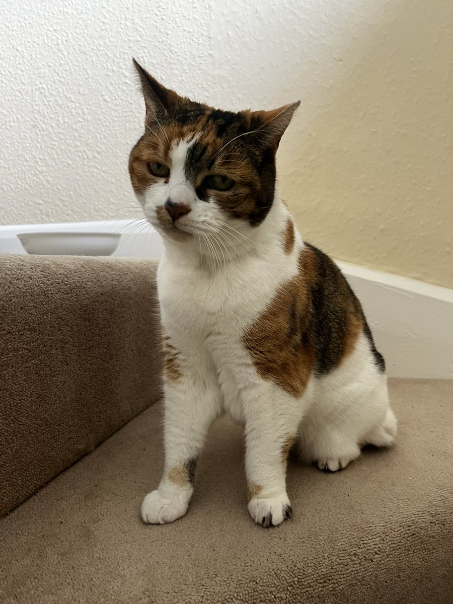 Bishop Philip tweet media