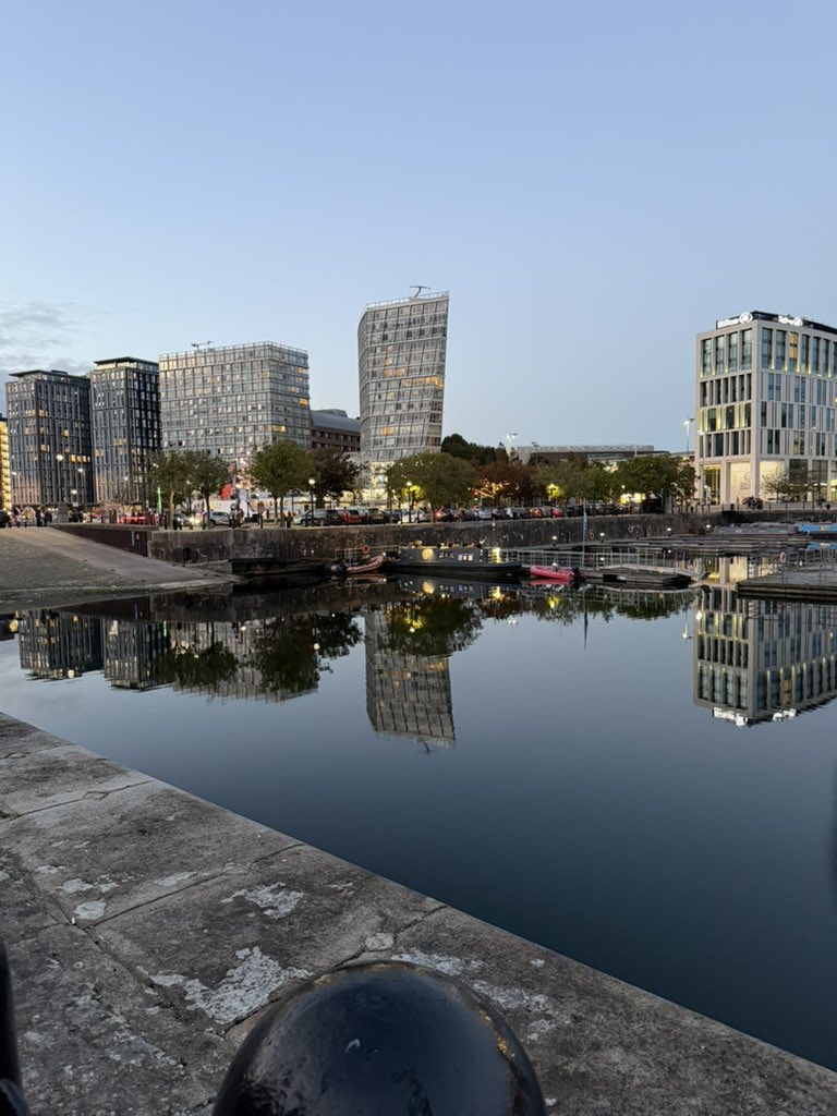 Katie Freeman tweet media