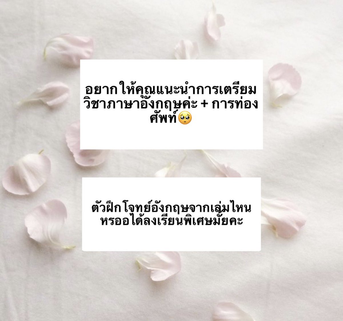 -อังกฤษไม่ได้เรียนพิเศษเท่าไหร่เน้นแบบดูหนังฟังเพลงเลย555555 รู้สึกว่าต้องลองทำความเข้าใจแกรมม่าแบบค่อยๆดูทีละ tense ละก็ท่องศัพท์เรื่อยๆๆ พยายมมรับศัพท์ใหม่เข้าเยอะๆ อ่านpassages อังกฤษเยอะๆให้เคยชินก็ดี ี ี
-เรียนแค่ของพี่แน้ตค่า 
#prettylilydeskngl
