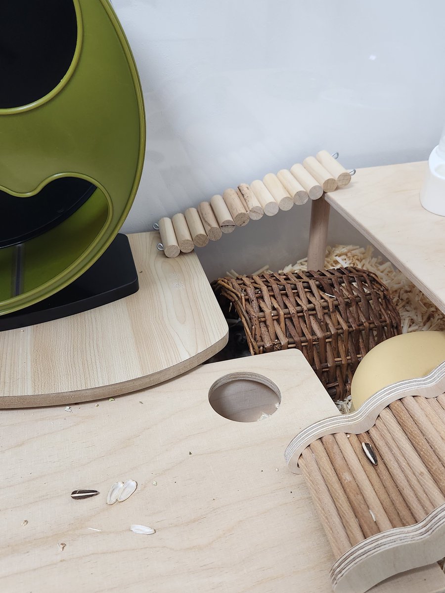 귤밭주인의 청귤농사 tweet media