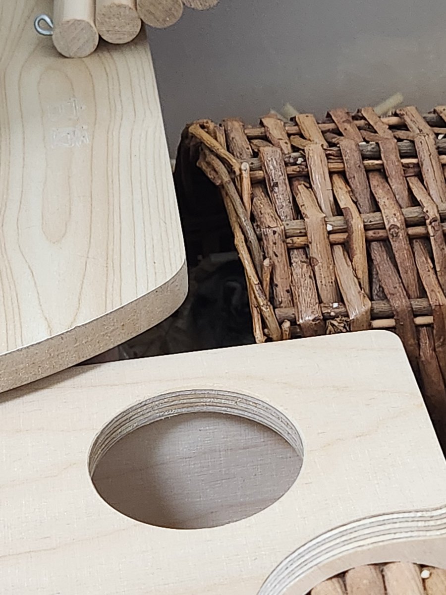 귤밭주인의 청귤농사 tweet media