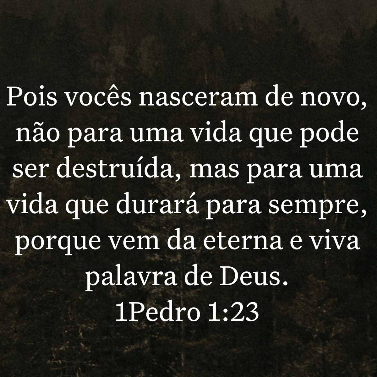 bibliaminuto's tweet photo. Pois vocês nasceram de novo, não para uma vida que pode ser destruída, mas para uma vida que durará para sempre, porque vem da eterna e viva palavra de Deus. 
1Pedro 1:23 https://t.co/Pnft8gl1iL