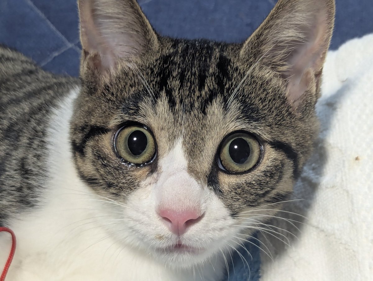 タキ (@hideaki_taki) / Posts / X