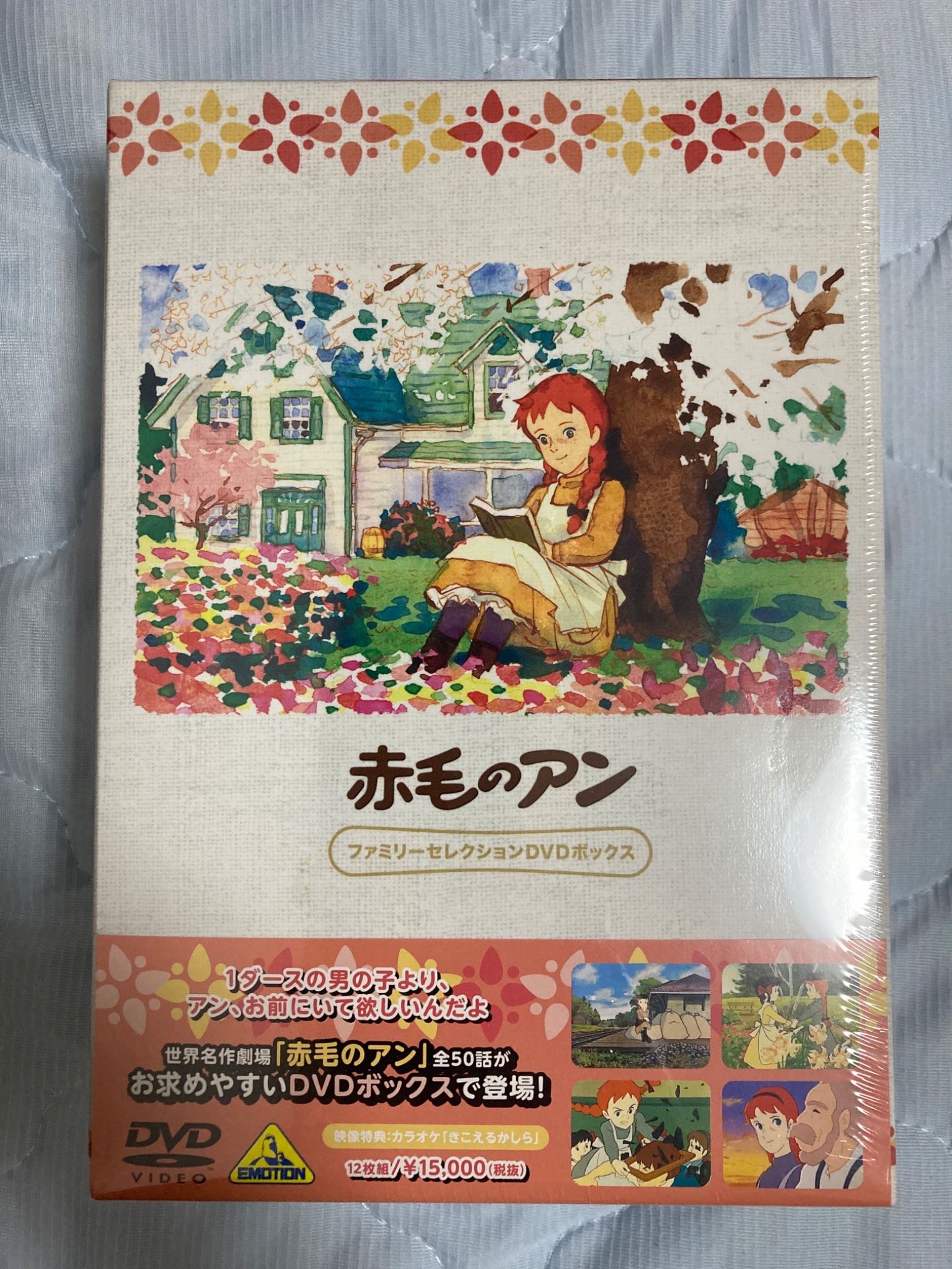 DVD 世界名作劇場 赤毛のアン 12巻 全巻 レンタル 世界名作劇場