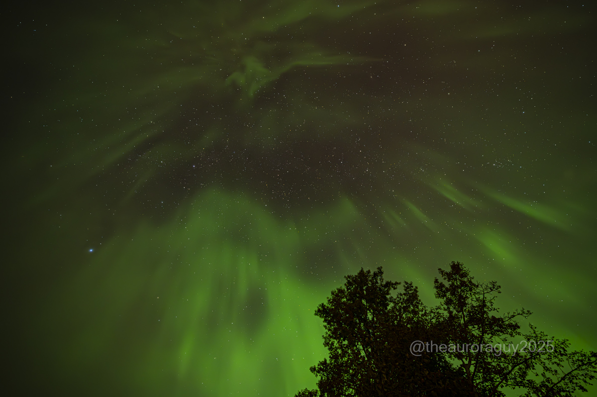 theauroraguy's tweet photo. TWP-232A, North of Calgary 20250930T05556Z
Probably the strangest looking corona that I have ever seen. Three different images taken at the same time from 3 different camera's. #Aurora #Auroraborealis #northernlights @NASAEarth #NASAJPL
@NASASun @AlbertaAurora @TweetAurora
@nenecallas @Magnetodawn @TamithaSkov
@PipmizerX @abastrophile @NoelBowman13
@TravelAlberta @CBC @JAtanackov
@swmcintosh @JimWindweather @tracygregorash
@NikonUSA @NikonCanada #substorm
