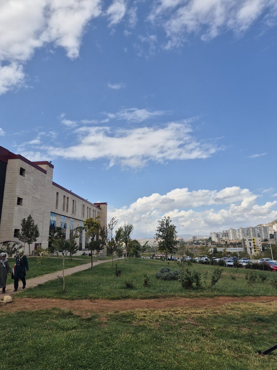 Hastasın ve yalnız geldin.