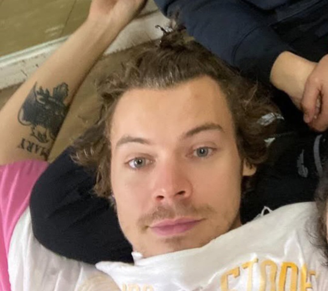 eu sou 
(  ) hetero
(  ) bi
(  ) gay 
(X) completamente apaixonada por harry styles, pqp esse homem é perfeito demais, sem condições