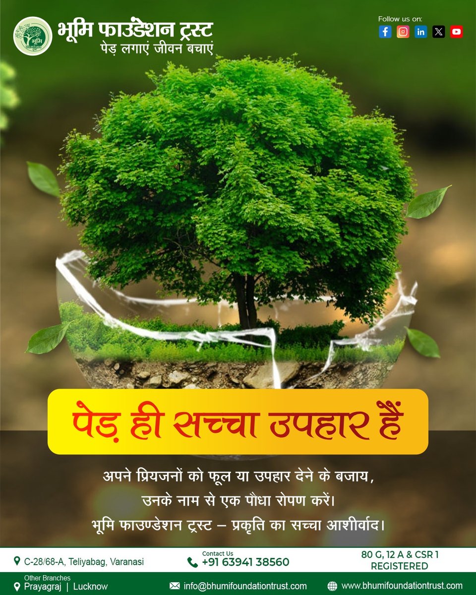 Bhumi__Trust's tweet photo. 🌱✨ "पेड़ लगाना सिर्फ उपहार नहीं, आने वाली पीढ़ियों के लिए आशीर्वाद है।"
इस बार अपने प्रियजनों को फूलों के बजाय हरियाली का तोहफ़ा दें 💚
आइए, मिलकर धरती को हरा-भरा बनाएं 🌍🌳
#PedLagaoJeevanBachao #BhumiFoundationTrust #GreenGift #EcoFriendlyLife #PlantATree #GoGreen #SustainableFuture #NatureLovers #HarGharPedh #TrueGift