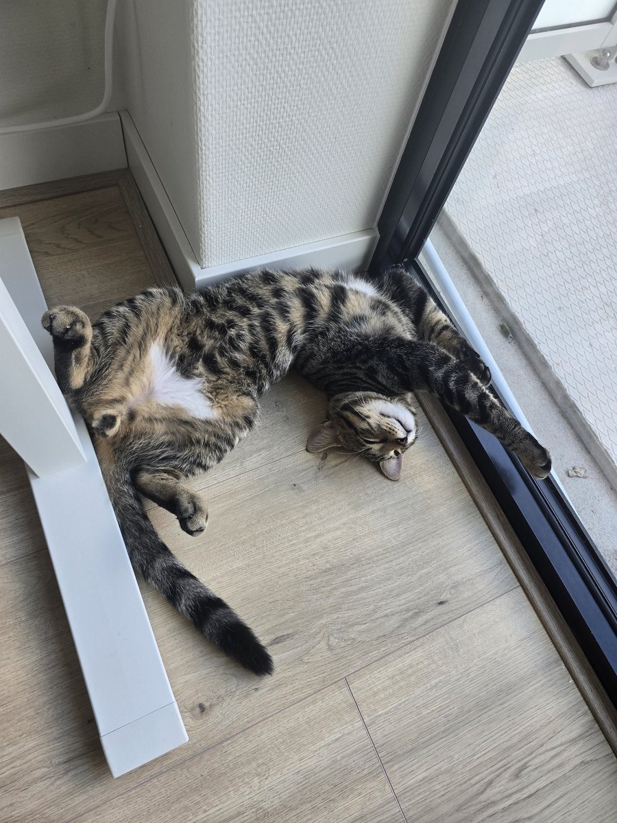 I guess this is a comfortable position..